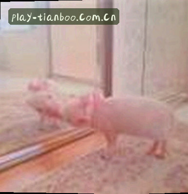 陈总